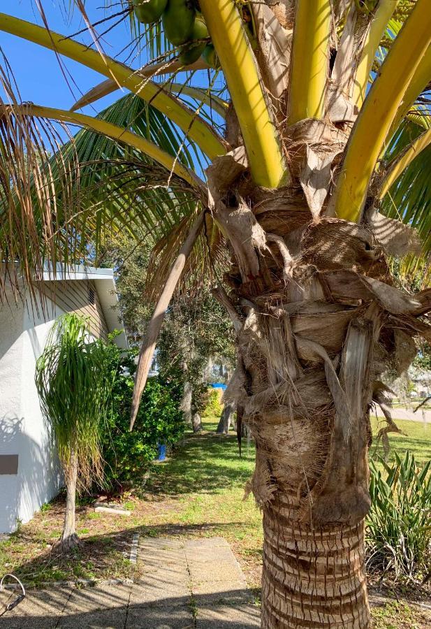 Quiet Venice Retreat With Private Lanai And Pool! المظهر الخارجي الصورة